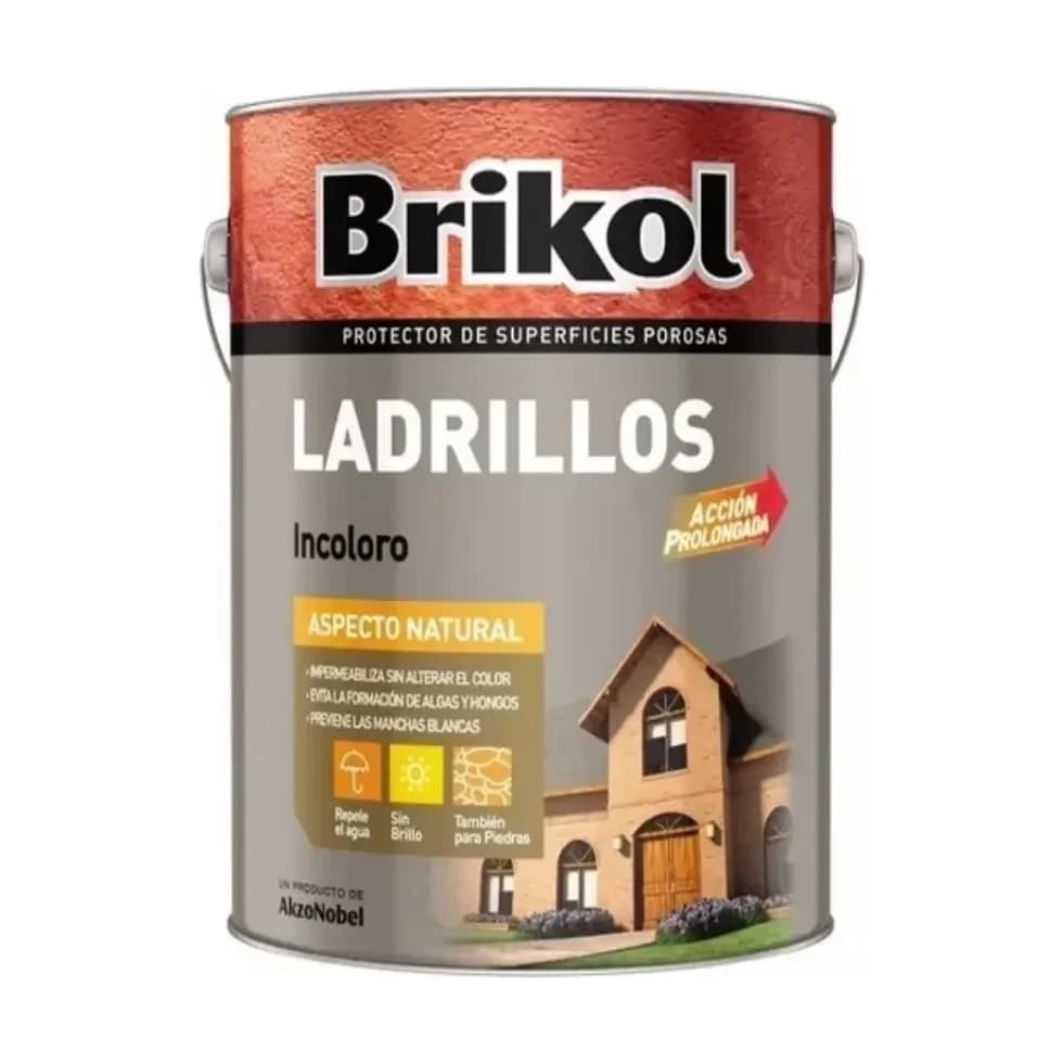 Ladrillos piedras porosas incoloro x4 lt