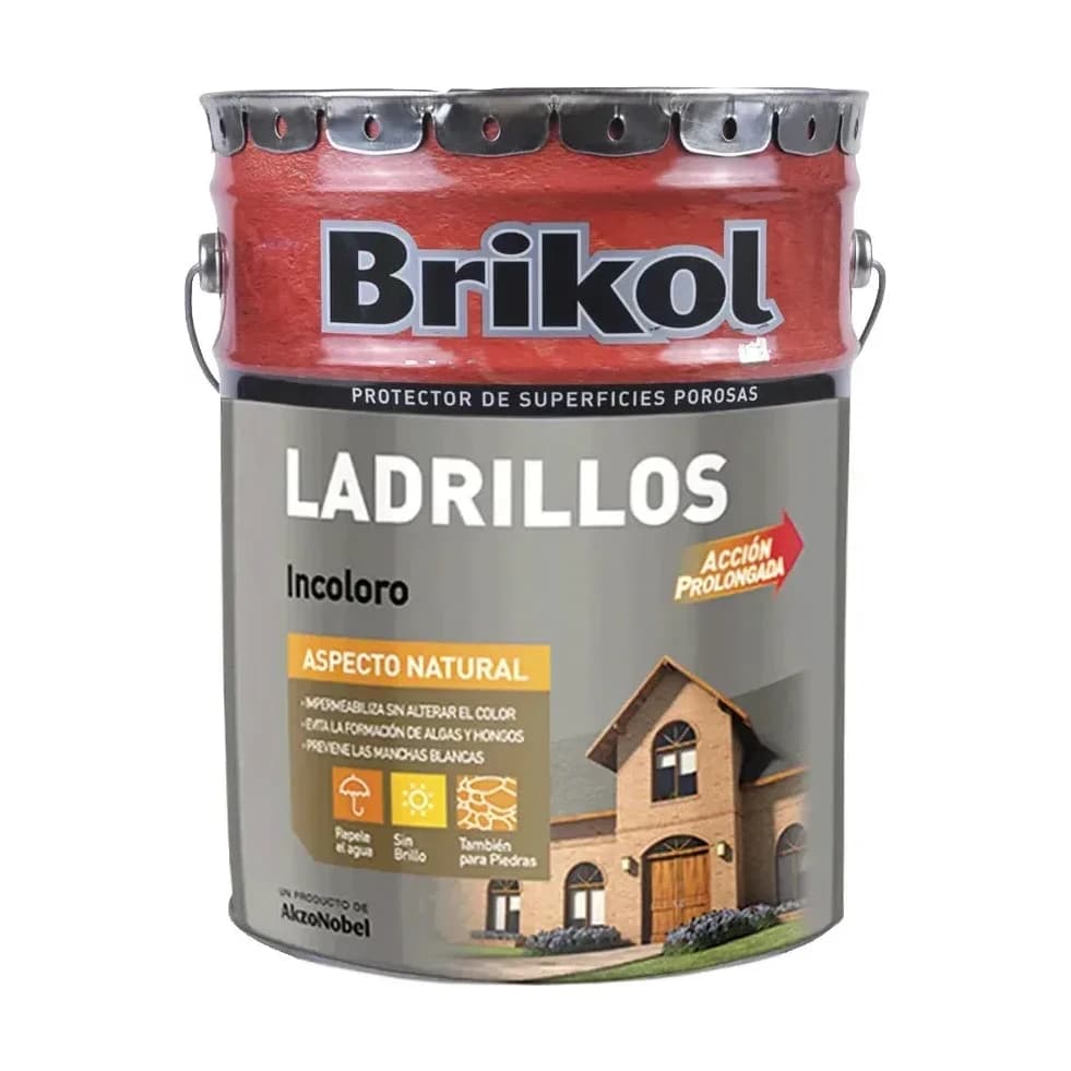 Ladrillos piedras porosas incoloro x20 lt