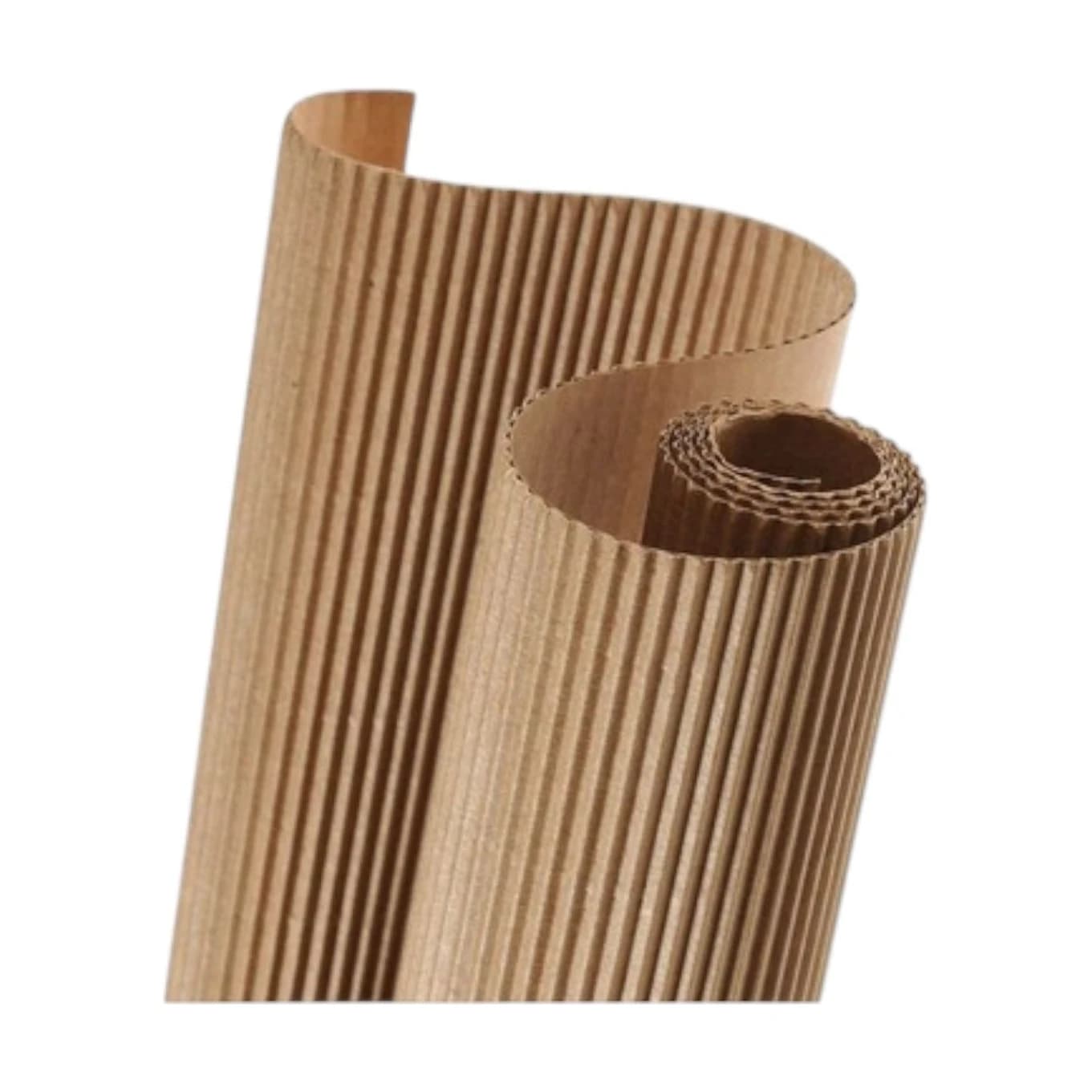 Carton x30 m